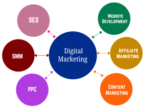 Best Digital Marketing Company In Ambala 