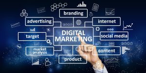 digital marketing company in Ambala